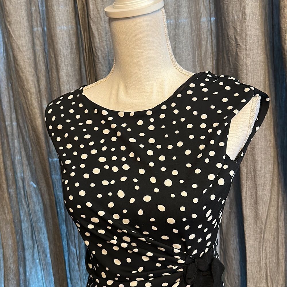The limited polka dot dress - Picture 3 of 6